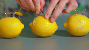 how to make a lemon battery johns