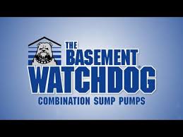 Basement Watchdog Combo Pumps You