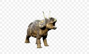 triceratops tyrannosaurus dinosaur