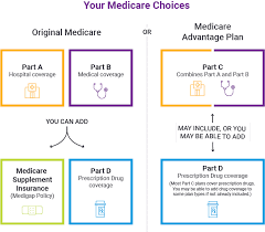 Medicare Insurance The Wise Option