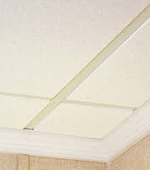 bat ceiling tile installation