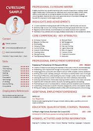 Example   Executive or CEO   CareerPerfect com Resumized   Your Free Resume Maker Nurse
