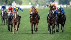 Image result for Kevin Blake is he bloodhorse literate?