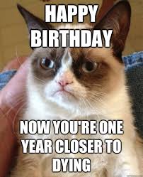 Happy Birthday Cat Meme - Cat Planet | Cat Planet via Relatably.com