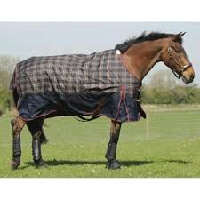 mark todd heavyweight combo turnout rug