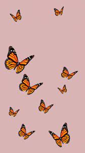 Butterflies iPhone Wallpapers - 4k, HD ...