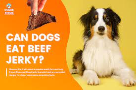 can dogs eat beef y is it