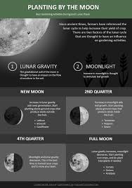 Planting By The Moon The Starters Guide