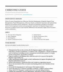 Title Director Of E Discovery Resume Example United Lex