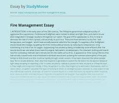 Fire escape maintenance and fire extinguisher servicing. Fire Management Free Essay Example