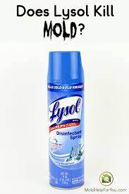 does lysol kill mold mold help for you