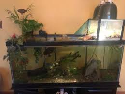 Top fin tank divider fish dividers containers petsmart. The 12 Coolest Pet Turtle Habitats With Photos Geozoo Org