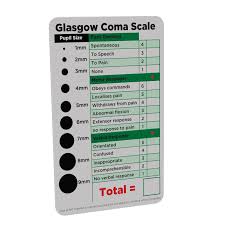 Gcs Glasgow Coma Scale Paramedic Nurse Student Pocket
