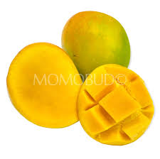 ranee s indian alphonso mango small