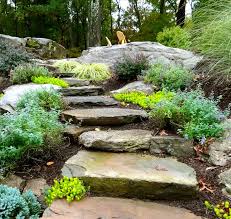 Natural Stepping Stones Build Into A