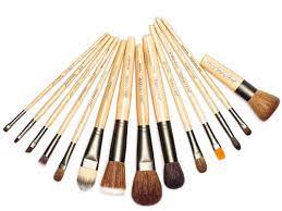 jane iredale professional brush set