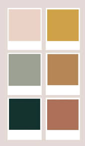 Terracotta Color Palette Room Color
