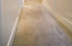 shading on carpets pile reversal