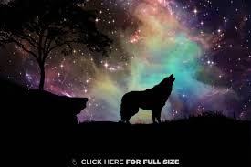 Find images of wolf howling. Galaxy Cool Wolf Pictures Wallpaper