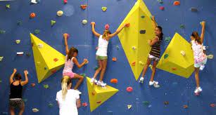 Indoor Rock Climbing Wall Options For A