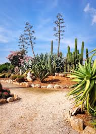 Botanicactus ist laut angabe der betreiber mit 150.000 qm fläche der größte botanische garten europas. á… Botanicactus Mallorca Botanischer Garten Bei Ses Salines