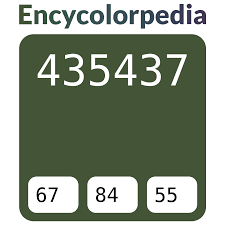 435437 Hex Color Code, RGB and Paints