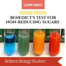 Food Tests Benedicts Test For Reducing Sugar Brilliant