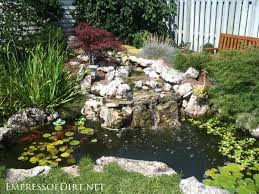 20 Beautiful Backyard Pond Ideas For