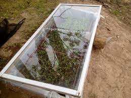 Making Cold Frames From Glass Doors