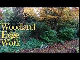 Woodland Edge Work
