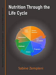 nutrition through the life cycle