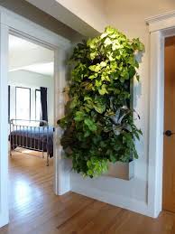 Plants On Walls Vertical Gardens Low