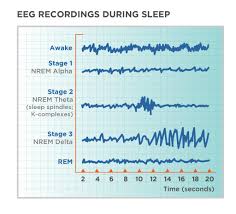 Stages Of Sleep Non Rem And Rem Sleep Cycles Tuck Sleep