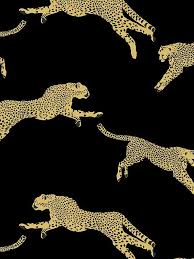 leaping cheetah black magic wallpaper
