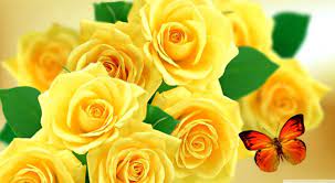 Yellow Rose Wallpapers - Top Free ...