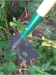 12 garden tools to essentials for