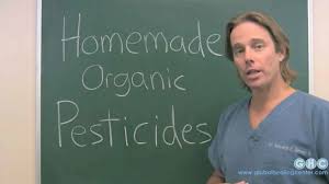 *free* shipping on qualifying offers. 10 Homemade Organic Pesticides