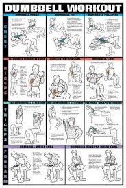 Dumbbell Workout Google Search Workout Posters Dumbbell