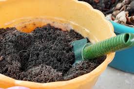 potting soil vs garden soil what s the