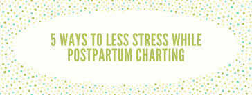 5 Ways To Less Stress While Postpartum Charting Indy