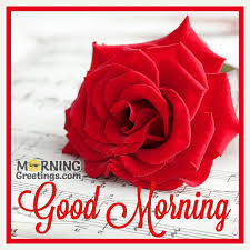 I hope my good morning text will bring a smile to your face at the very beginning of the day. 51 Good Morning Wishes With Rose Morning Greetings Morning Quotes And Wishes Images