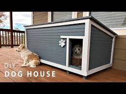 How To Build A Diy Insulated Dog House