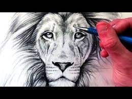 how to draw a lion you
