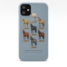 Horse Common Solid Coat Colors Chart Iphone Case