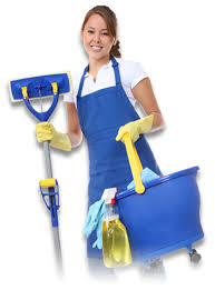 preferred cleaning services