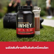 optimum whey gold standard protein 1