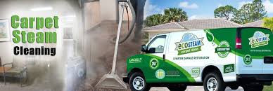carpet cleaning los angeles 69 3