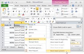 ms excel 2010 display the fields in