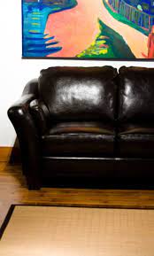 Remove Odor From A Leather Couch