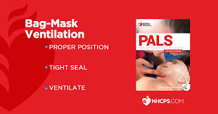 Pals Bag Mask Ventilation